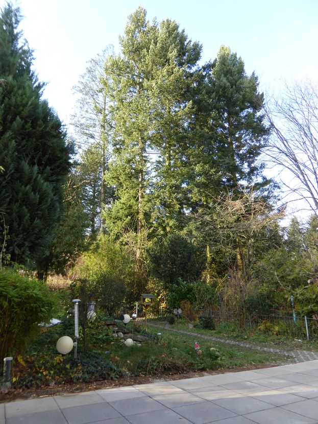 Reihenhaus in Top-Zustand image