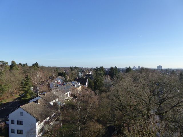 1-Zimmerwohnung in Waldrandlage image 1