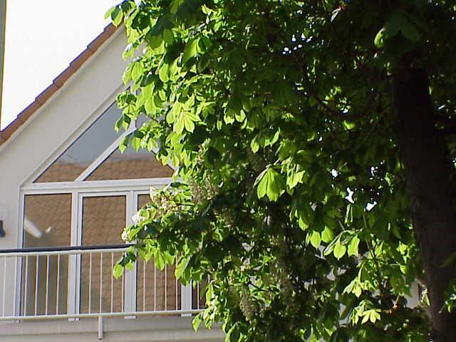 Schöne Dachgeschosswohnung in Eckenheim image 4