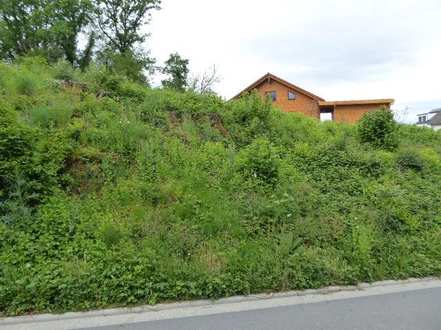 Sehr schönes Baugrundstück in begehrter Wohnlage.. image 3