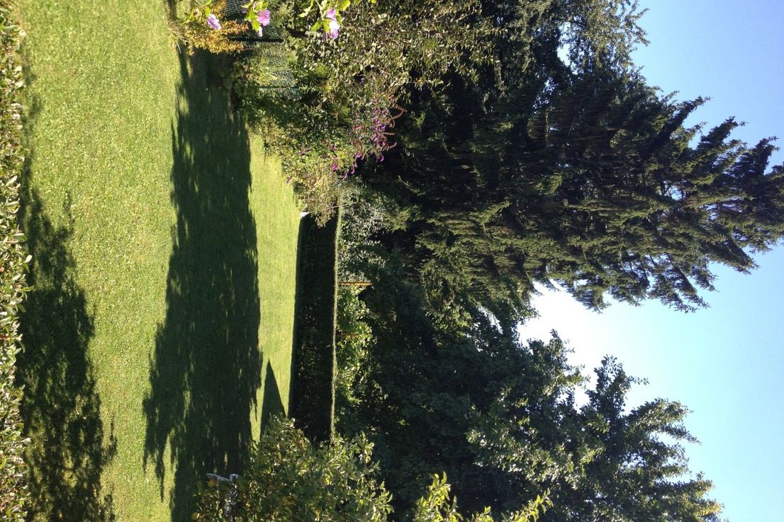 Reihenendhaus mit Traumgrundstück image 5