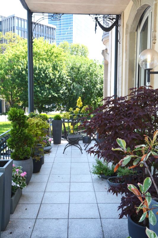 Traumhafte Altbauwohnung image